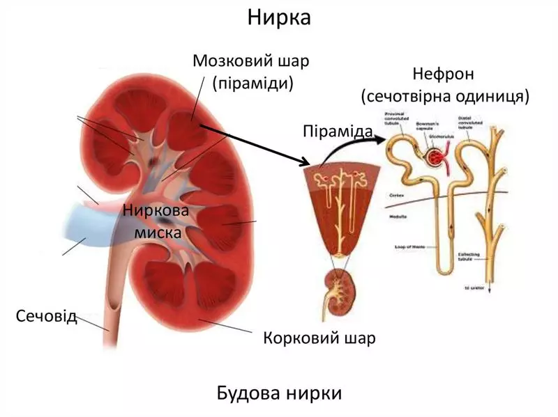 Иудейские древности. Иудейская война (сборник) (fixed OCR) - amurliman.ru