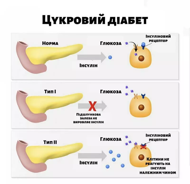 Вы точно человек?